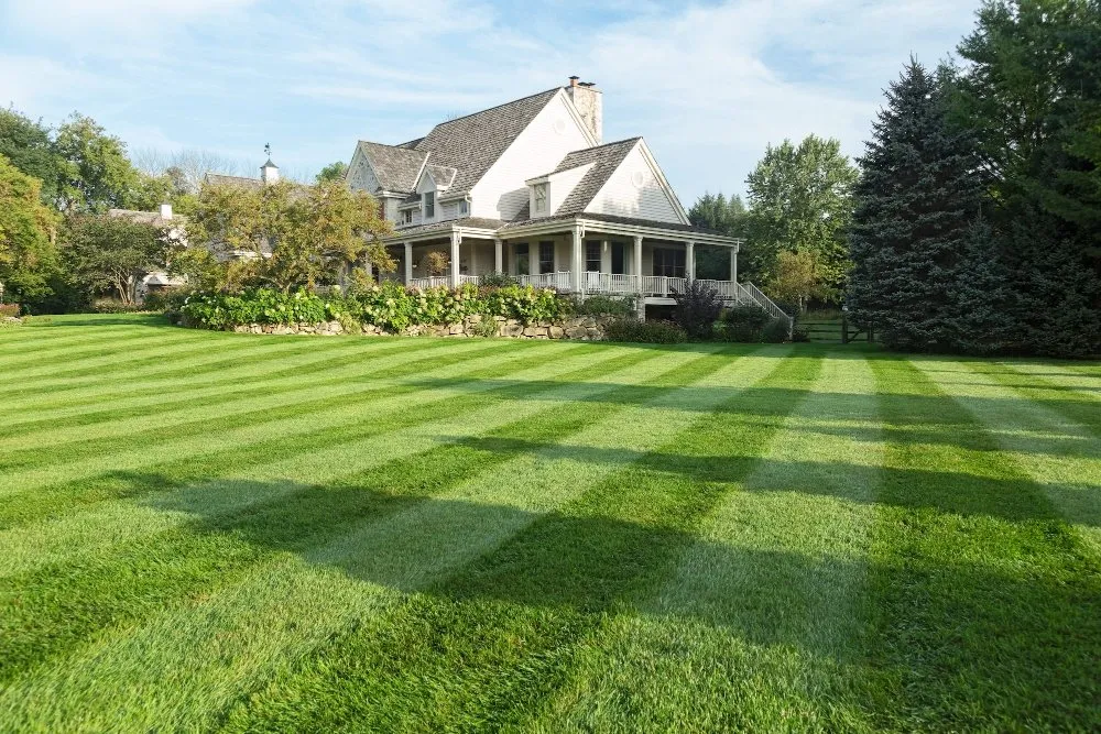 Custom yard cleanup service near you in Wichita, KS by Cut rite lawn care