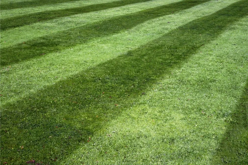 Affordable landscape design with custom design in Wichita, KS by Cut rite lawn care