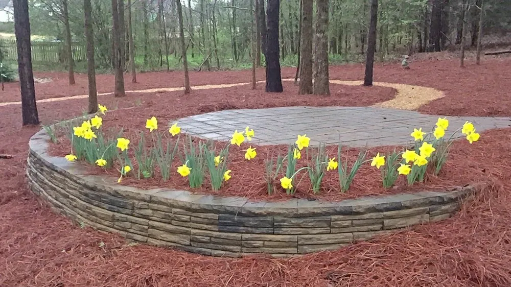 Custom yard cleanup service for outdoor upgrades across Hull, GA - CUT-RITE Lawn Maintenance & Landscaping Services