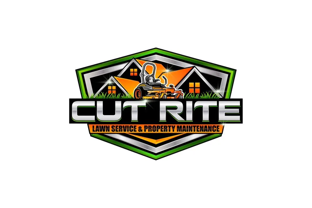Reliable yard cleanup service for year-round maintenance across Spring Hill, FL - Cut Rite Lawn Service & Property Maintenance