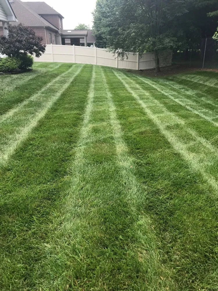 Local yard maintenance for beautiful yards across Memphis, IN - Cut-Rite Lawncare