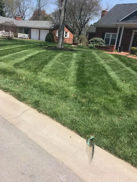 Reliable residential landscaping experts serving Memphis, IN - Cut-Rite Lawncare