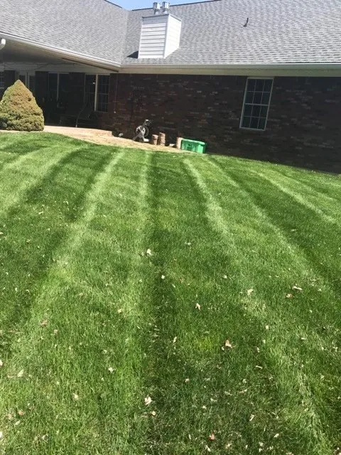 Top-rated lawn care service for residential properties in Memphis, IN by Cut-Rite Lawncare