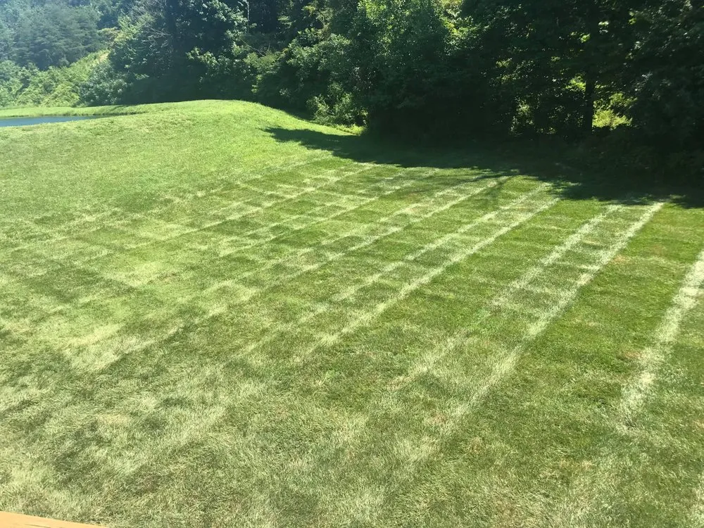 Trusted lawn care service for year-round maintenance across Memphis, IN - Cut-Rite Lawncare