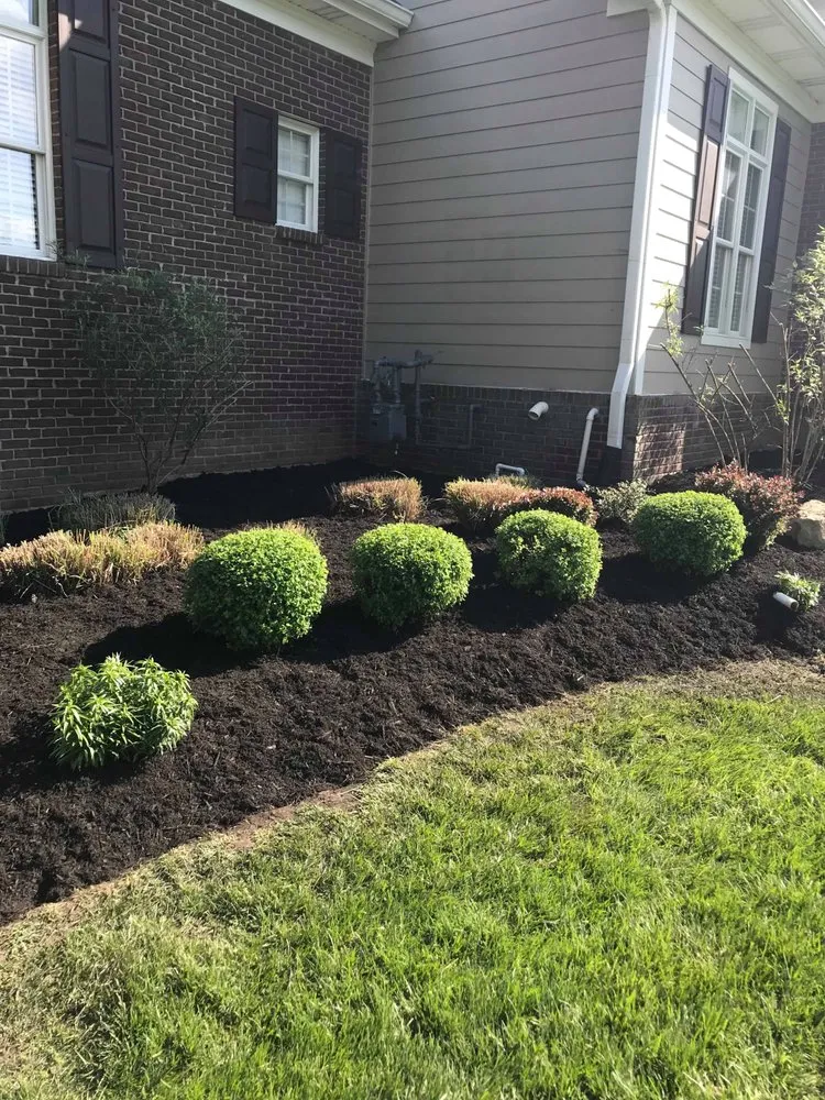 Top-rated yard cleanup service for year-round maintenance across Memphis, IN - Cut-Rite Lawncare