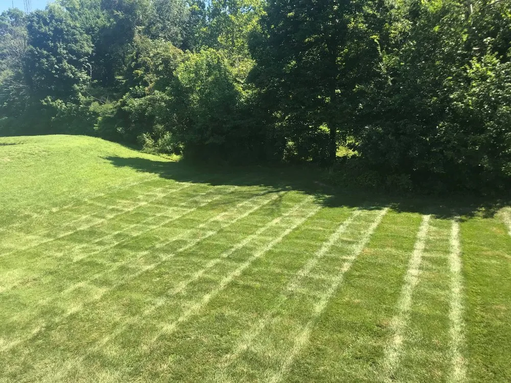 Expert lawn care service for year-round maintenance across Memphis, IN - Cut-Rite Lawncare