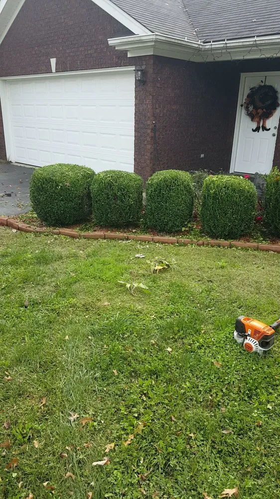 Expert yard maintenance in Memphis, IN - Cut-Rite Lawncare