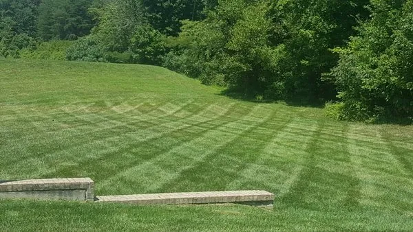Cut-Rite Lawncare