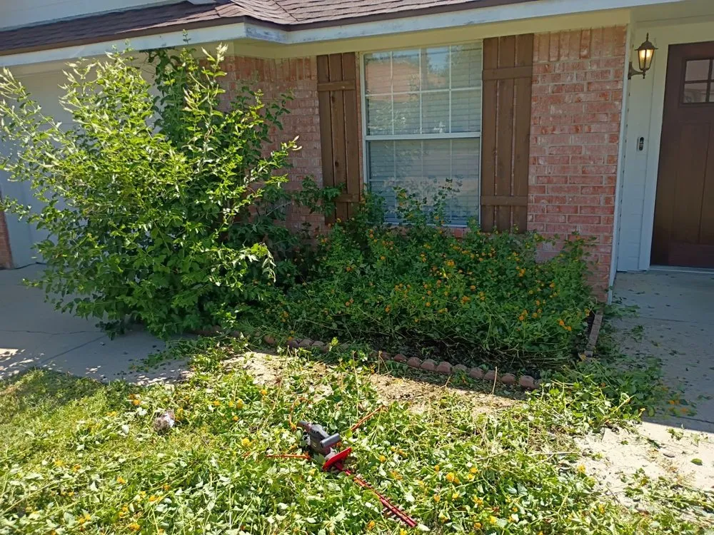 Affordable lawn mowing service for homes in Killeen, TX by Cut the Bull Construction and Landscaping