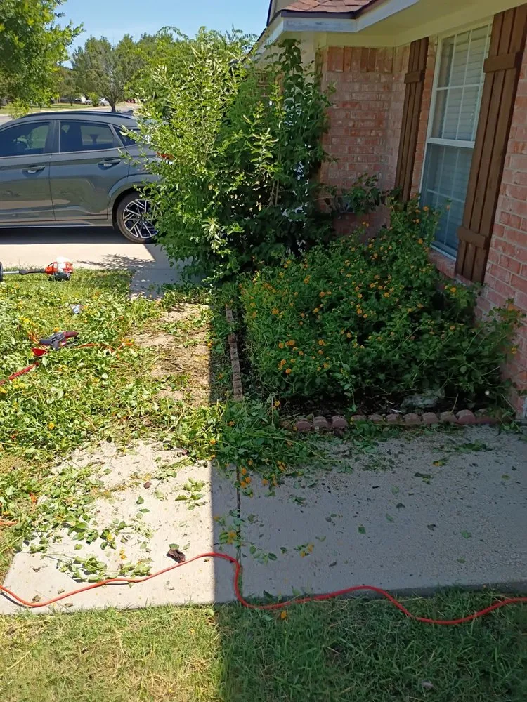 Affordable lawn mowing service in Killeen, TX - Cut the Bull Construction and Landscaping