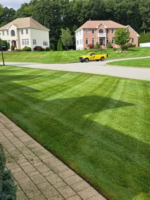 Cut The Grass Landscaping