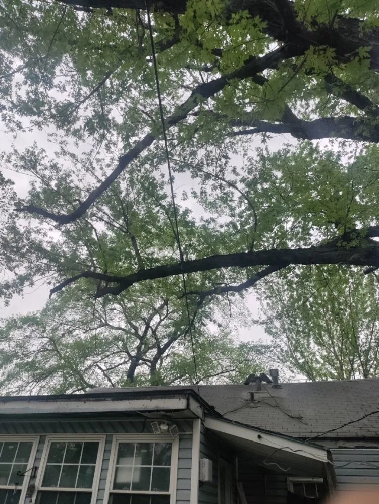 Expert residential landscaping in Joplin, MO - Cut The Trunk