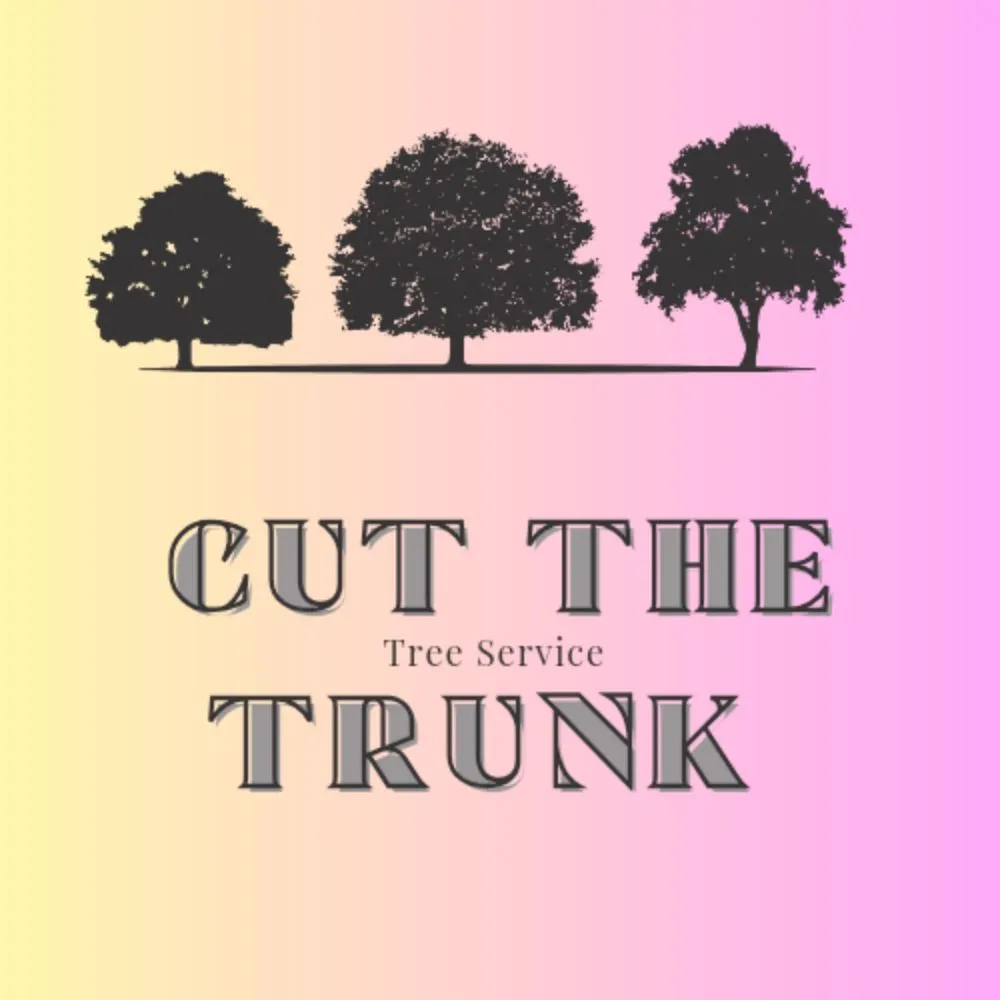 Professional landscaping services experts serving Joplin, MO - Cut The Trunk