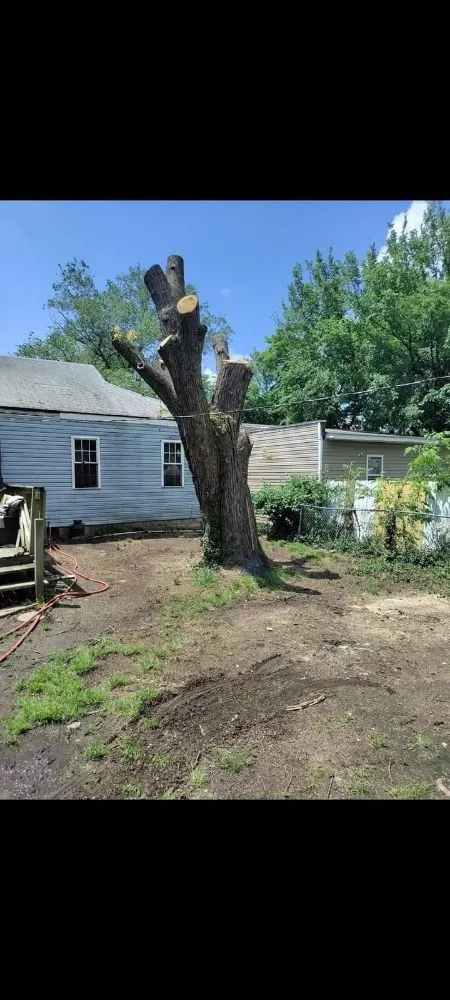 Local residential landscaping in Joplin, MO - Cut The Trunk