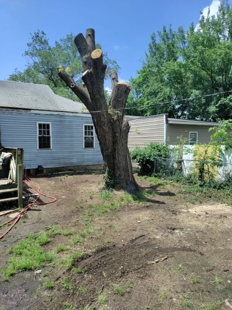 Trusted outdoor landscaping for outdoor upgrades across Joplin, MO - Cut The Trunk