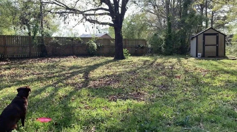 Reliable landscaping services for outdoor upgrades across Jacksonville, NC - Cut The World Lawncare