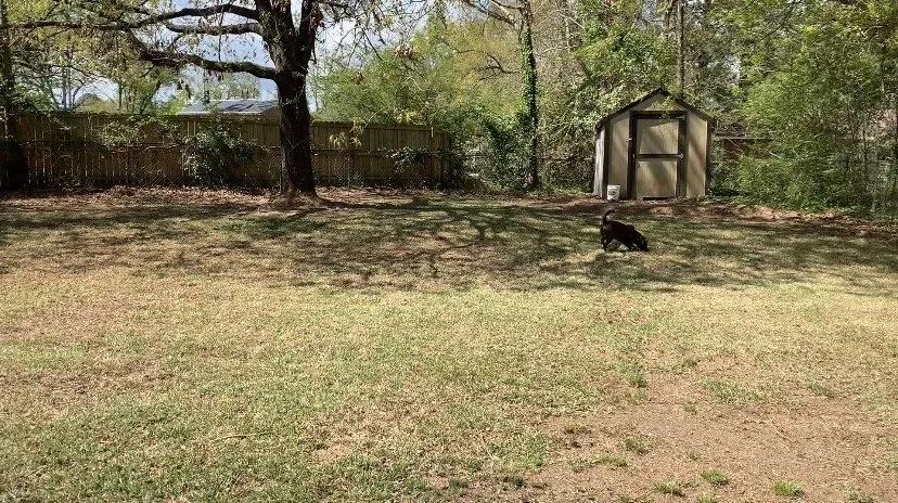 Local landscaping services in Jacksonville, NC by Cut The World Lawncare