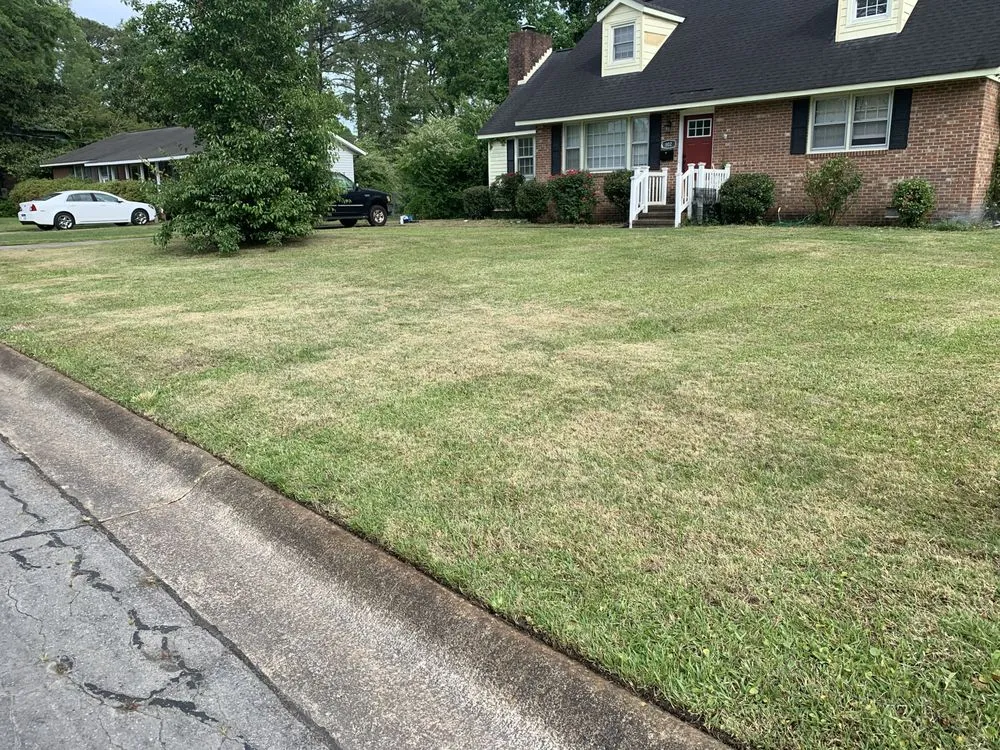 Affordable landscape installation for residential properties in Jacksonville, NC by Cut The World Lawncare