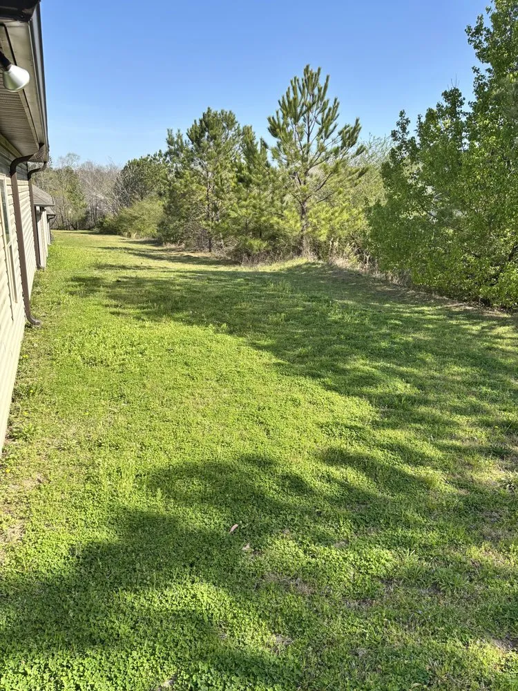 Custom lawn care service experts serving Calera, AL - Cut To Perfection