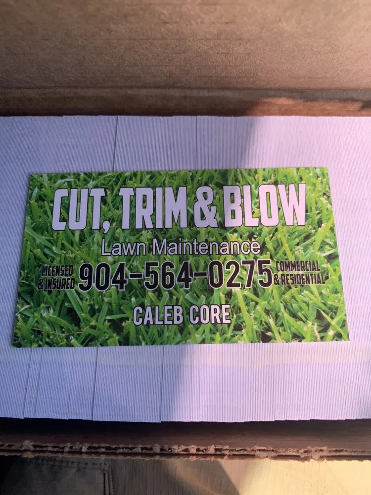 Affordable yard cleanup service in Jacksonville, FL by Cut Trim & Blow