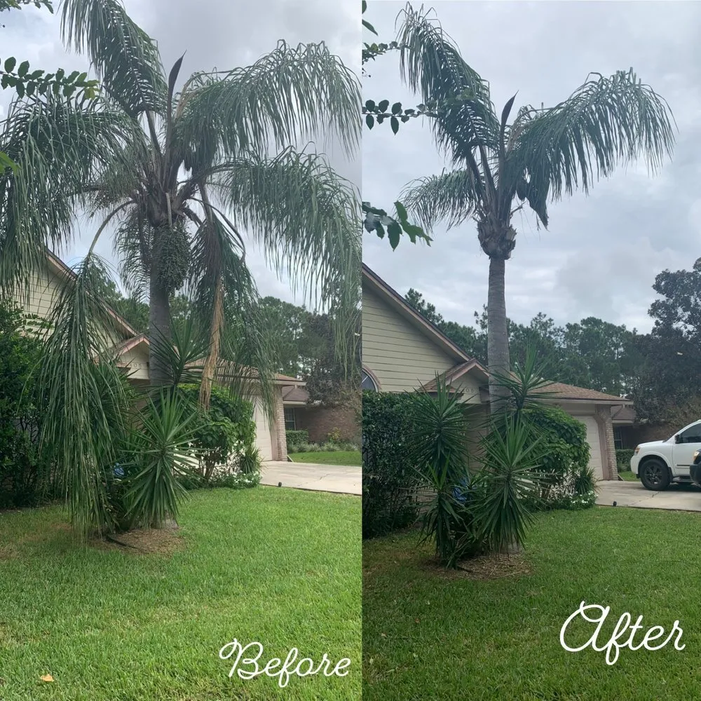 Trusted lawn care service experts serving Jacksonville, FL - Cut Trim & Blow
