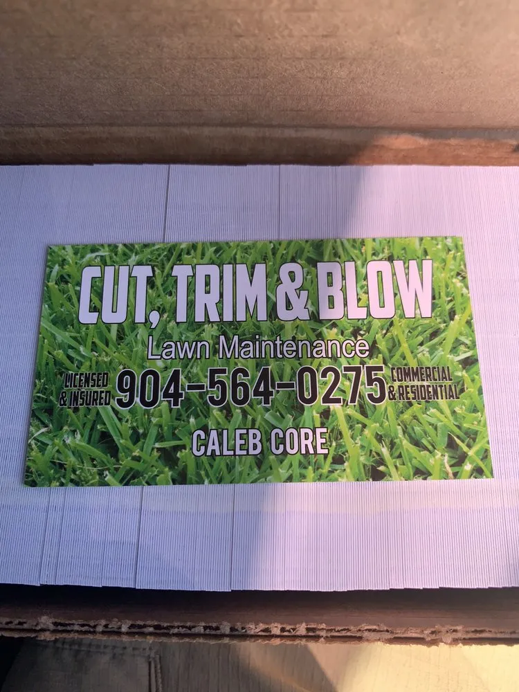 Local yard cleanup service in Jacksonville, FL - Cut Trim & Blow