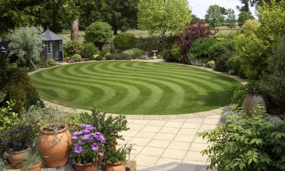 Affordable yard maintenance in Lee's Summit, MO by Cut Trim Blow&Go