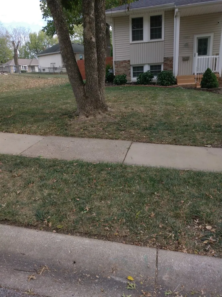 Custom outdoor landscaping for homes in Lee's Summit, MO by Cut Trim Blow&Go