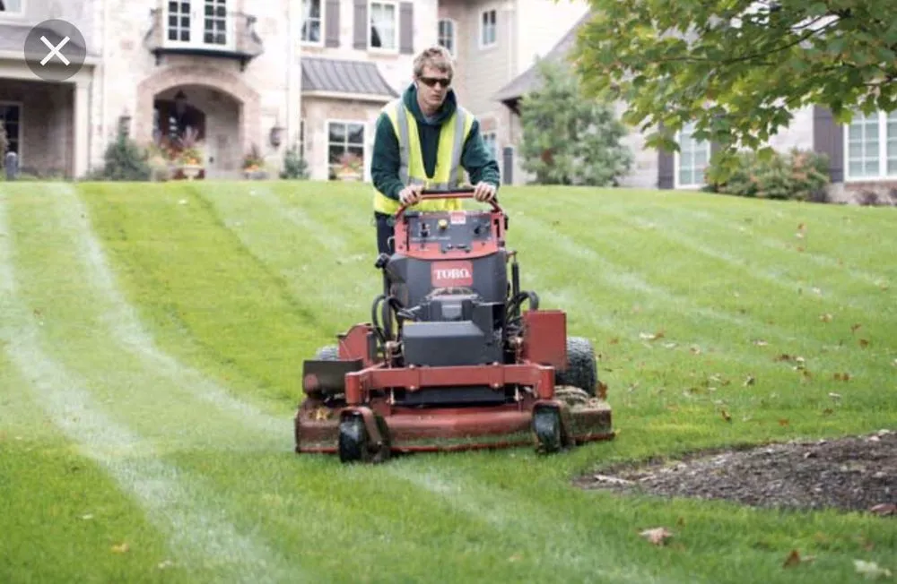 Affordable landscaping services for beautiful yards across Lee's Summit, MO - Cut Trim Blow&Go