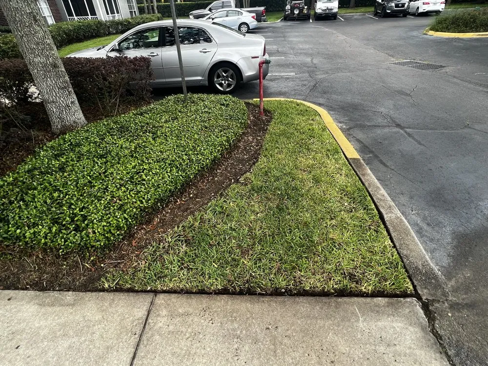 Affordable landscape installation experts serving Orlando, FL - Cut2Clean LLC