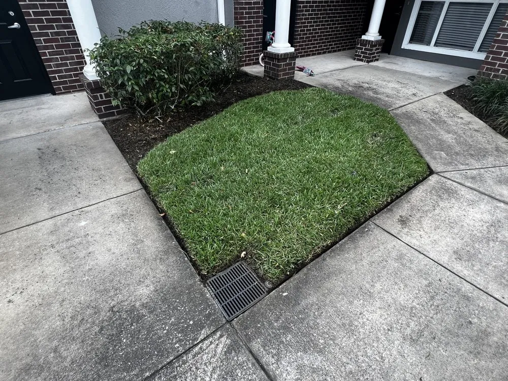 Professional landscape design in Orlando, FL - Cut2Clean LLC