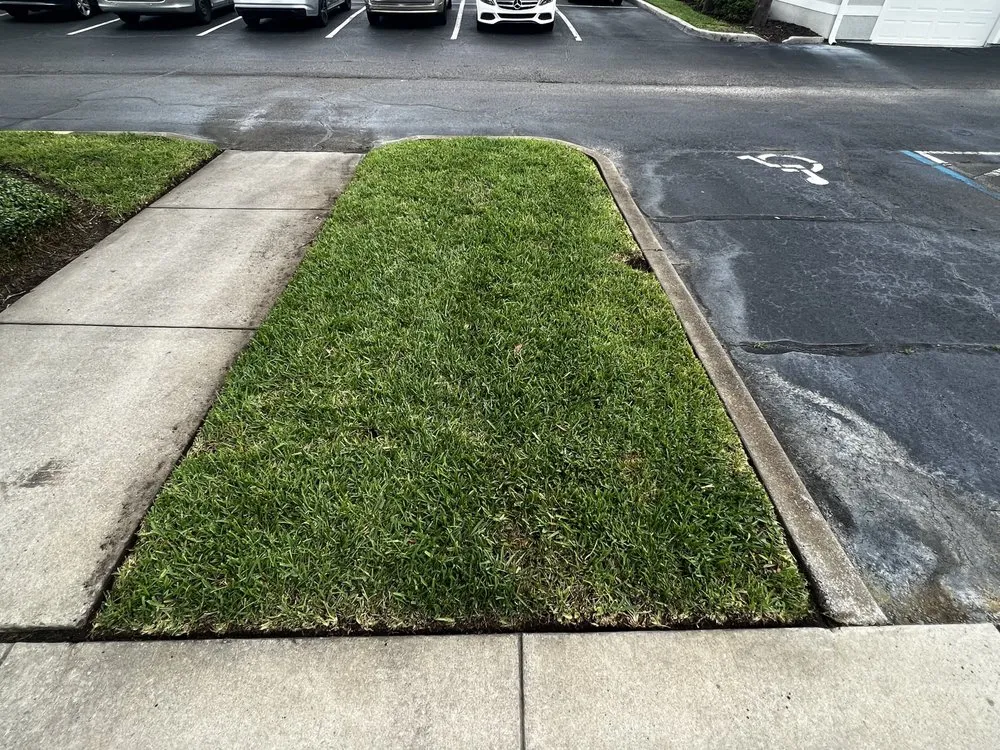 Expert landscaping services in Orlando, FL - Cut2Clean LLC