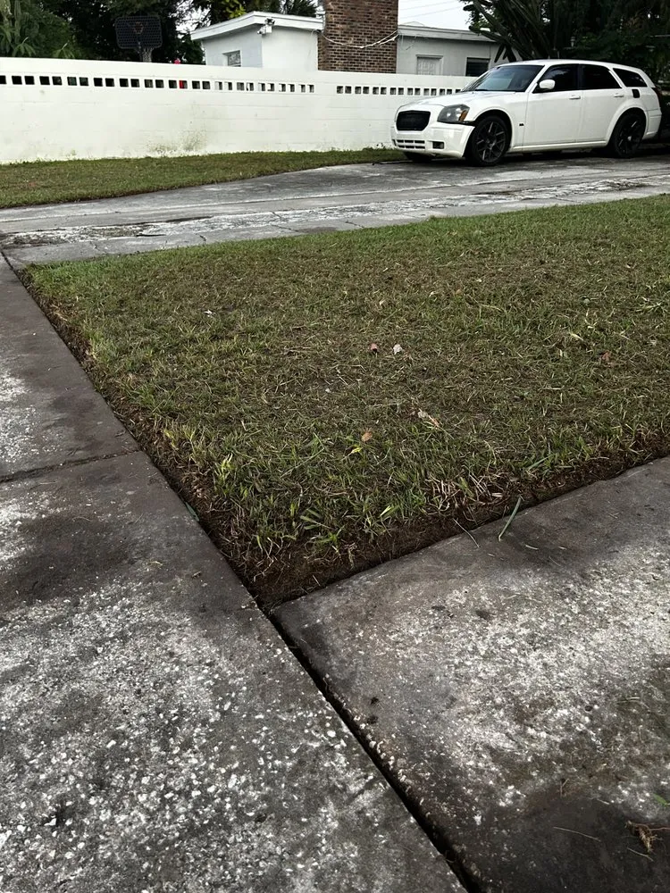 Top-rated landscape installation in Orlando, FL by Cut2Clean LLC