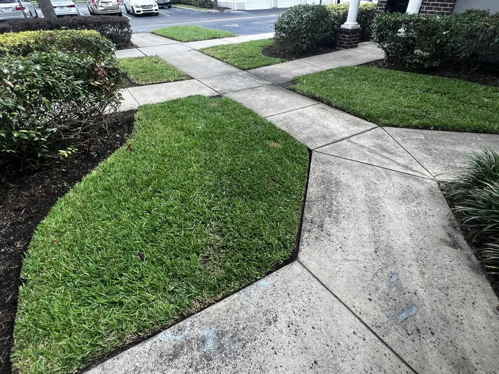 Professional lawn care service in Orlando, FL by Cut2Clean LLC