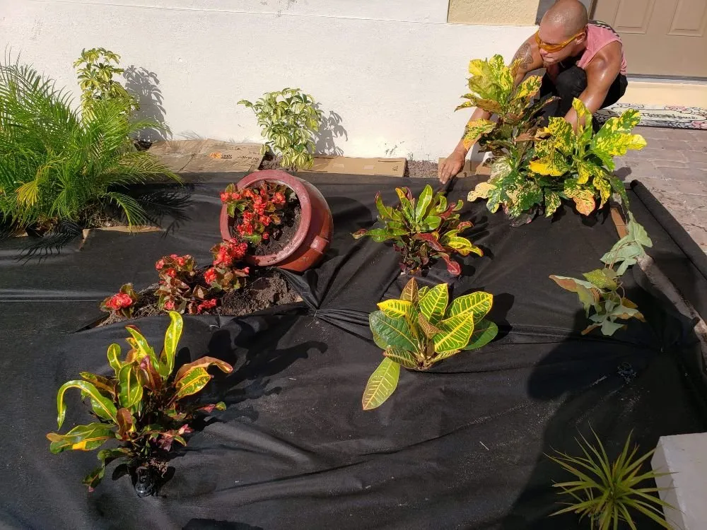 Top-rated lawn care service for outdoor upgrades across Kissimmee, FL - Cut4les