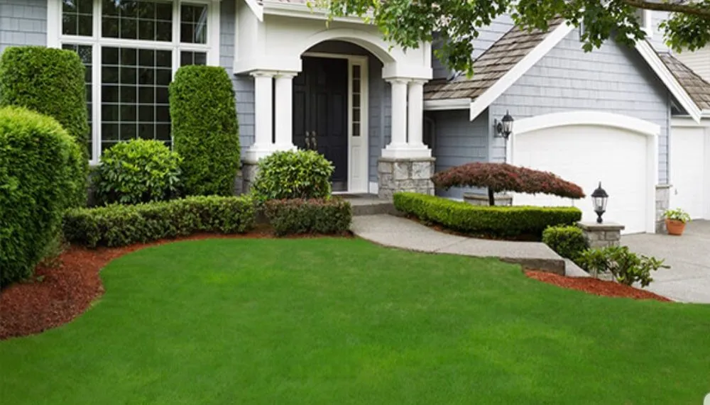 Expert landscape installation for beautiful yards across Kissimmee, FL - Cut4les