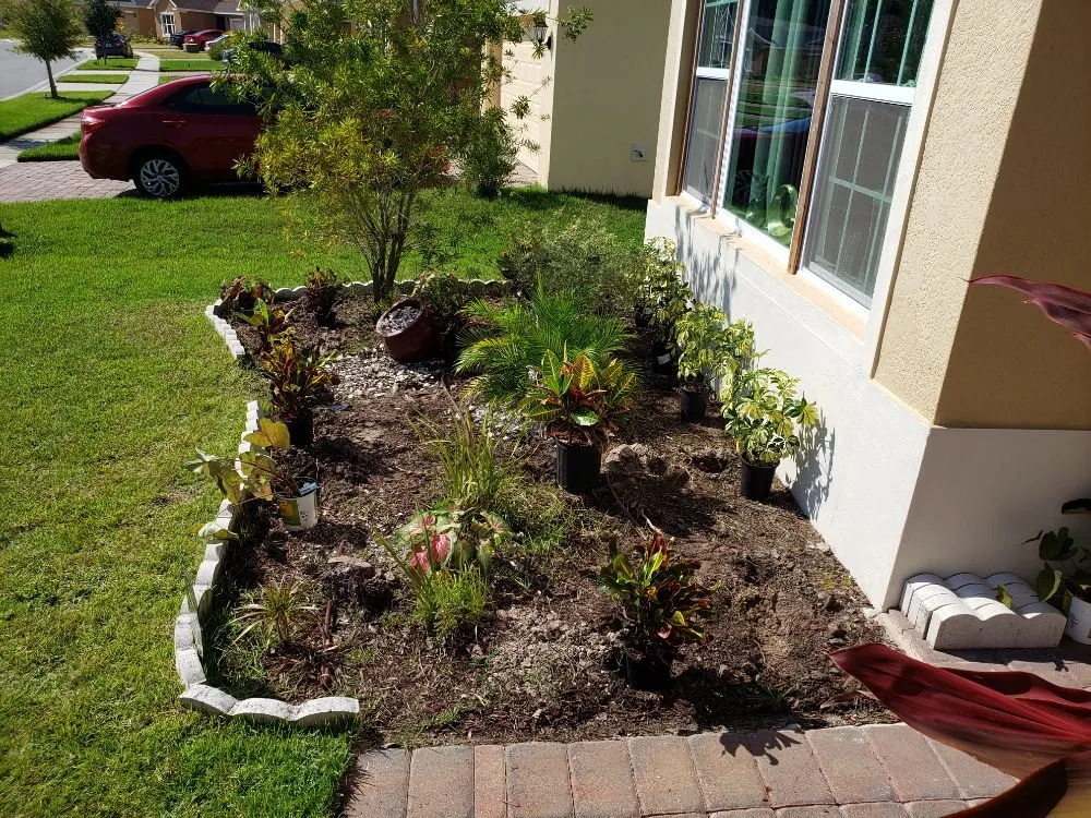 Local residential landscaping near you across Kissimmee, FL - Cut4les
