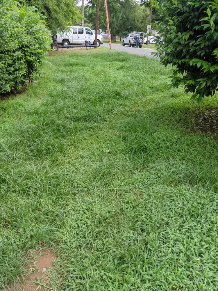 Reliable garden landscaping in Charlotte, NC - Cutandride Landscaping Lawn Service