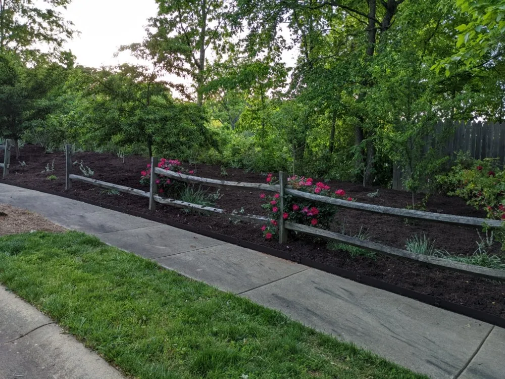 Top-rated outdoor landscaping in Charlotte, NC by Cutandride Landscaping Lawn Service