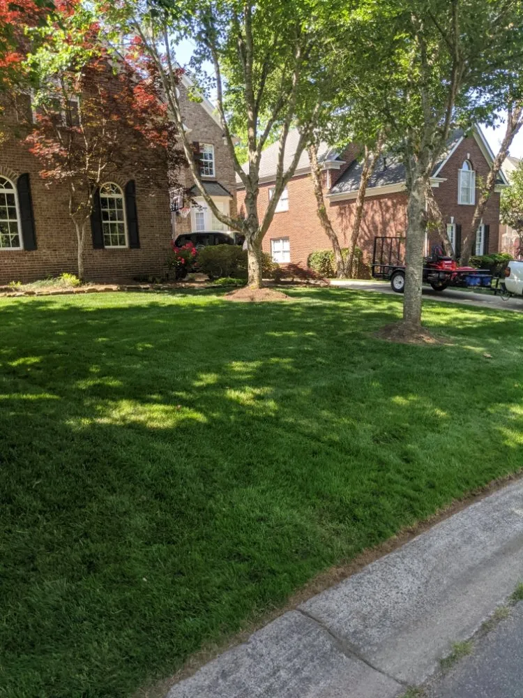 Affordable lawn care service for beautiful yards across Charlotte, NC - Cutandride Landscaping Lawn Service