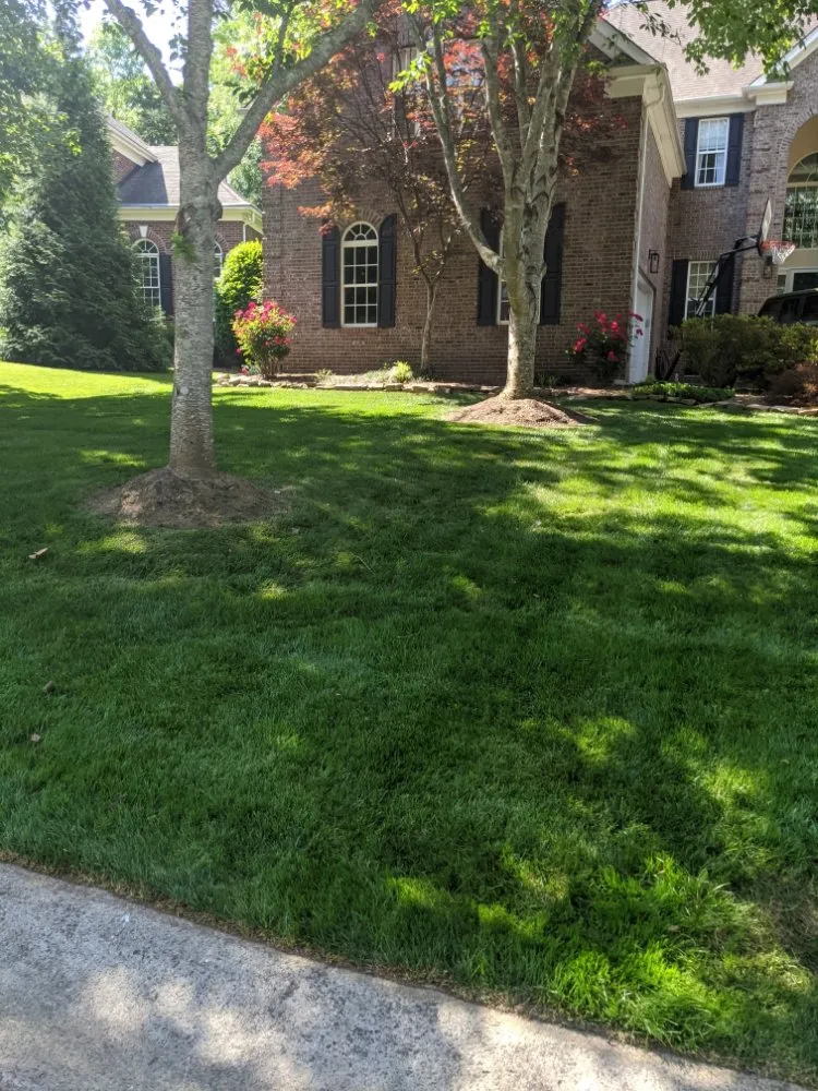 Expert landscaping services in Charlotte, NC by Cutandride Landscaping Lawn Service