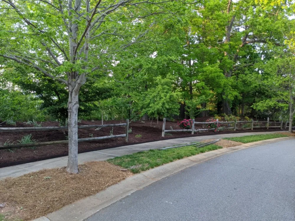 Expert lawn mowing service for outdoor upgrades across Charlotte, NC - Cutandride Landscaping Lawn Service