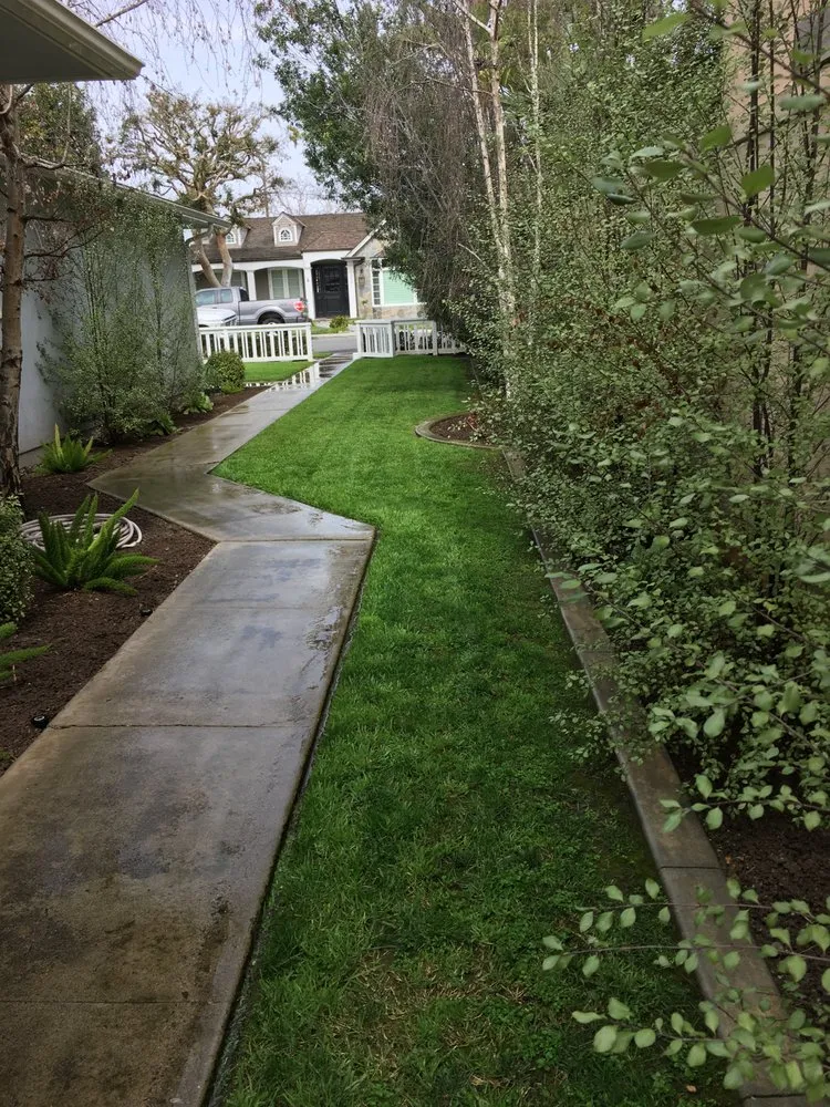 Reliable landscape design experts serving Huntington Beach, CA - Cutbertos Professional Landscaping