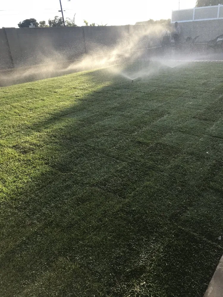 Expert yard cleanup service near you in Huntington Beach, CA by Cutbertos Professional Landscaping