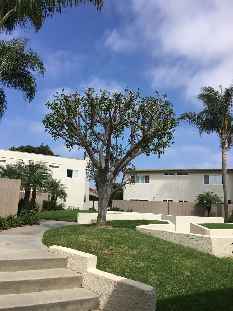Trusted lawn care service for beautiful yards across Huntington Beach, CA - Cutbertos Professional Landscaping