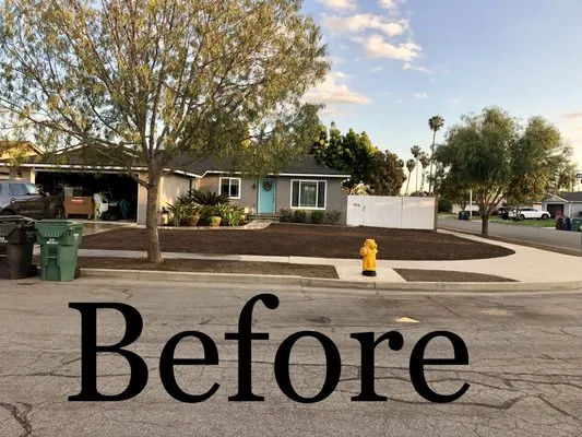 Cutbertos Professional Landscaping Logo