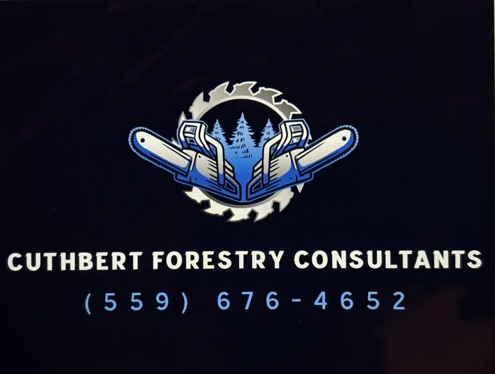 Trusted landscape design for year-round maintenance in Oakhurst, CA by Cuthbert Forestry