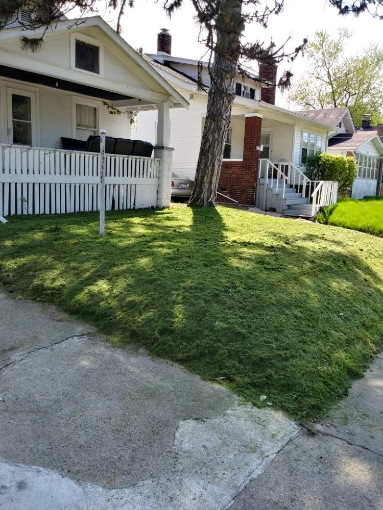 Trusted residential landscaping in Peoria, IL - Cutline Lawn Care