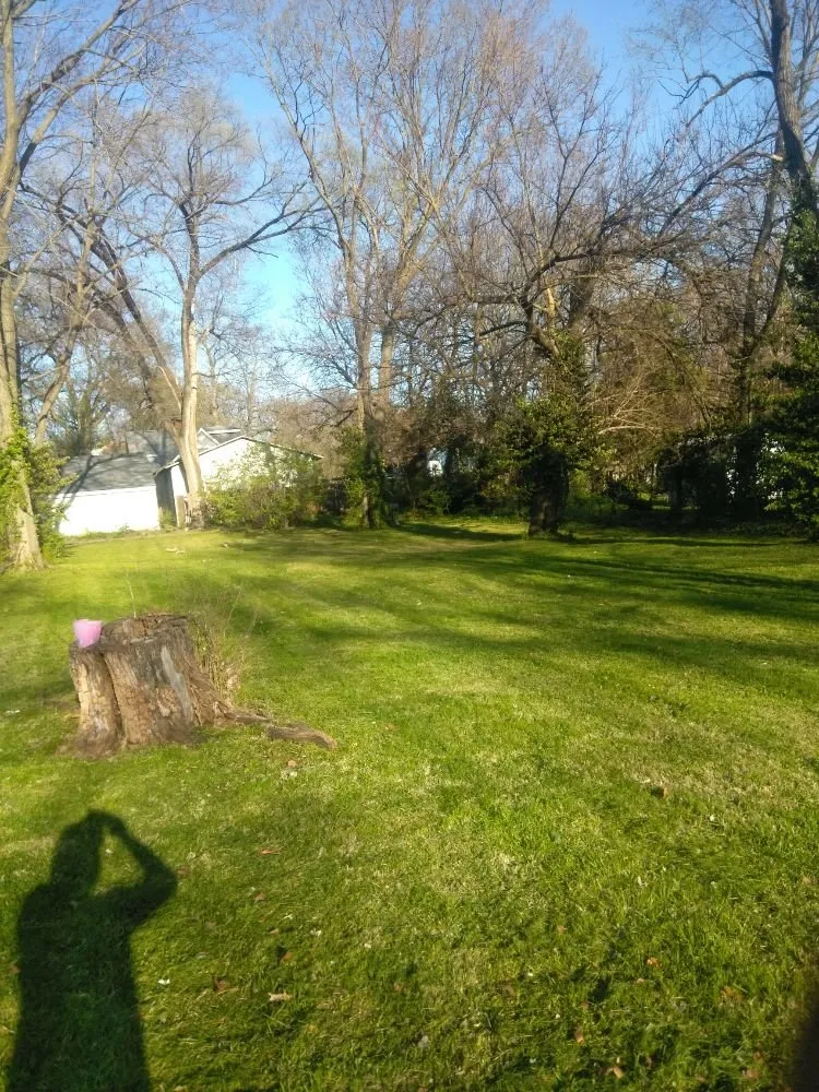 Affordable lawn care service for homes across Peoria, IL - Cutline Lawn Care