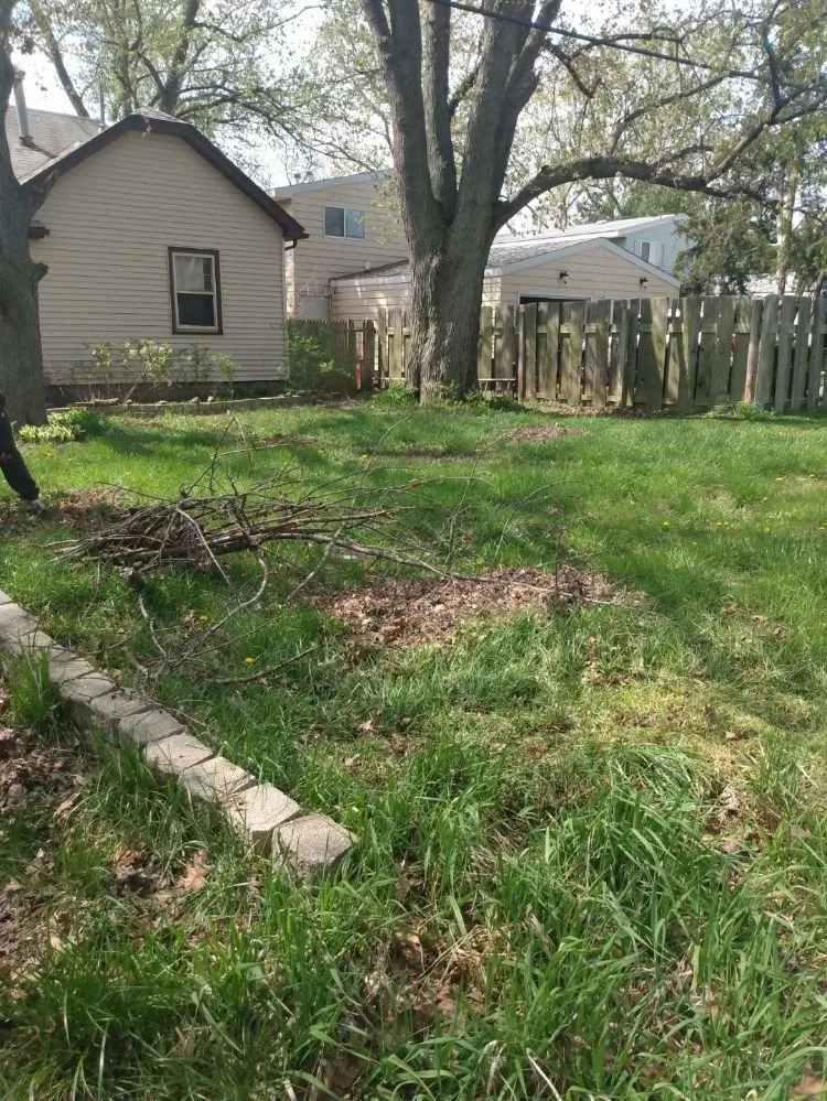 Local outdoor landscaping in Peoria, IL by Cutline Lawn Care